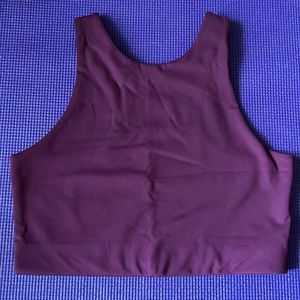 Girlfriend collective plum Dylan bra large